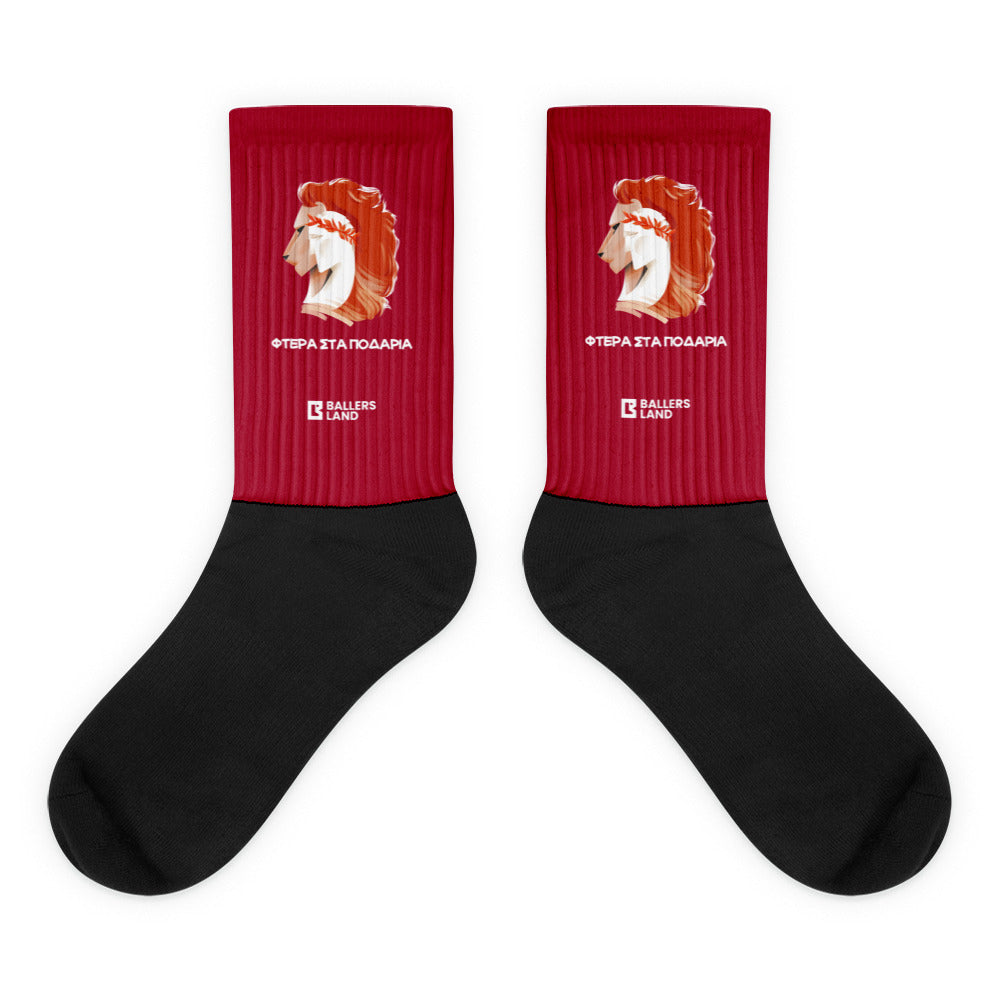 Wings on the Feet (socks)