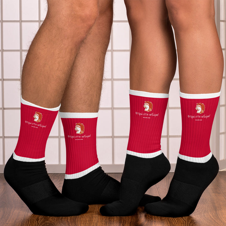 Wings on the Feet (socks)