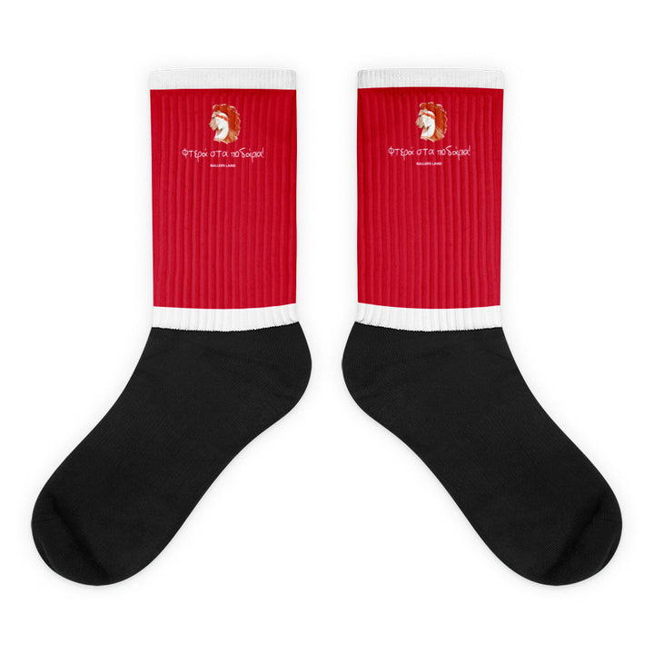 Wings on the Feet (socks)