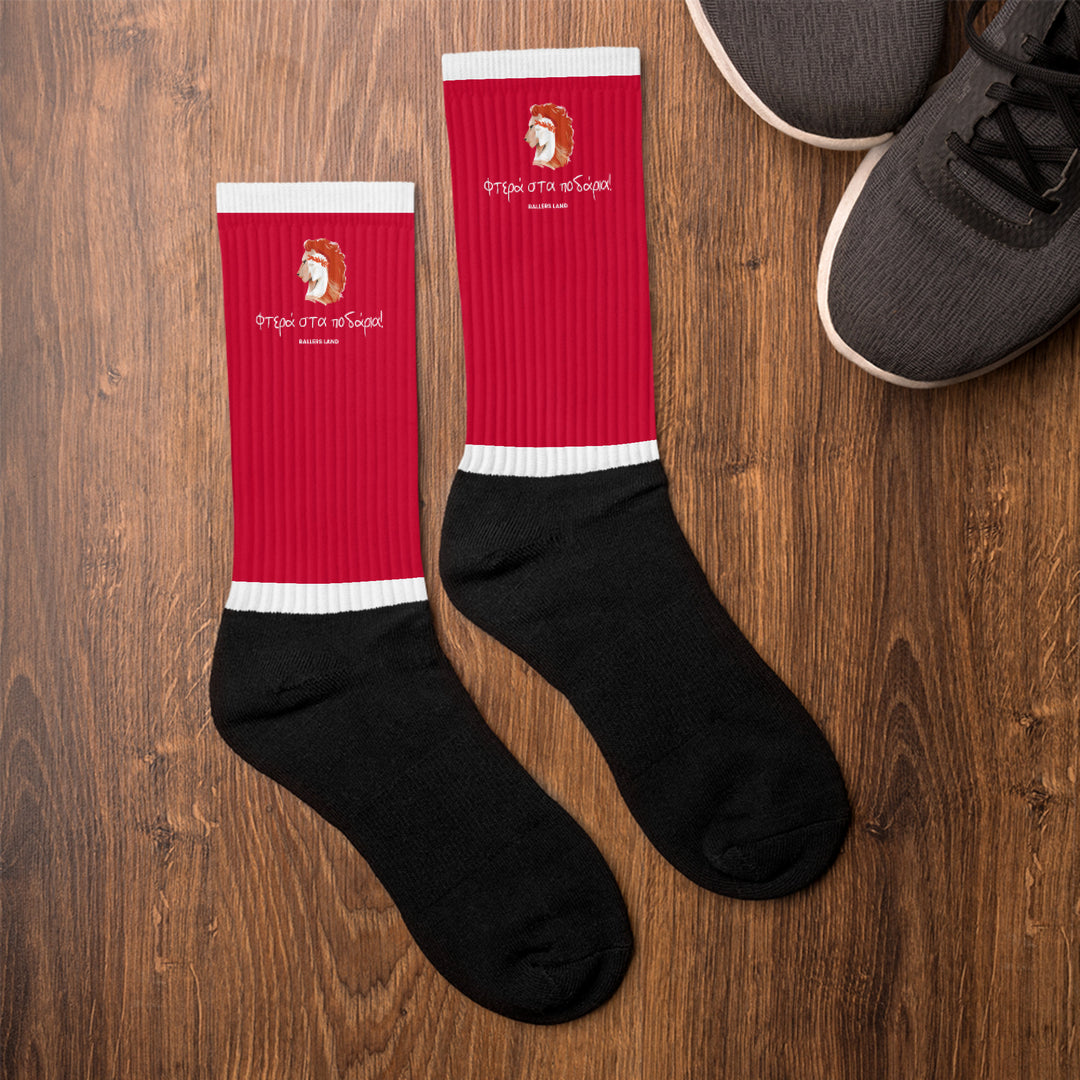 Wings on the Feet (socks)