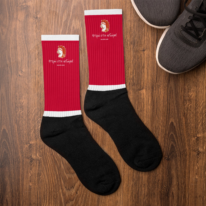 Wings on the Feet (socks)